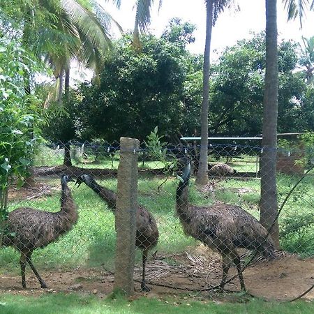 Mango Village Farm House Nelliyampathy Luaran gambar